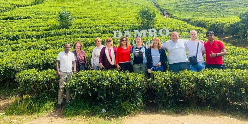 Nuwara Eliya Day Tour from Kandy (Private Tour) - Tea plantations and factory tour: Ceylon tea from leaf to cup