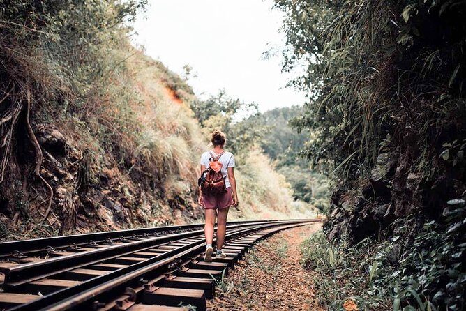Nuwara Eliya from Kandy by Train - Should you book this train-and-tea day trip?