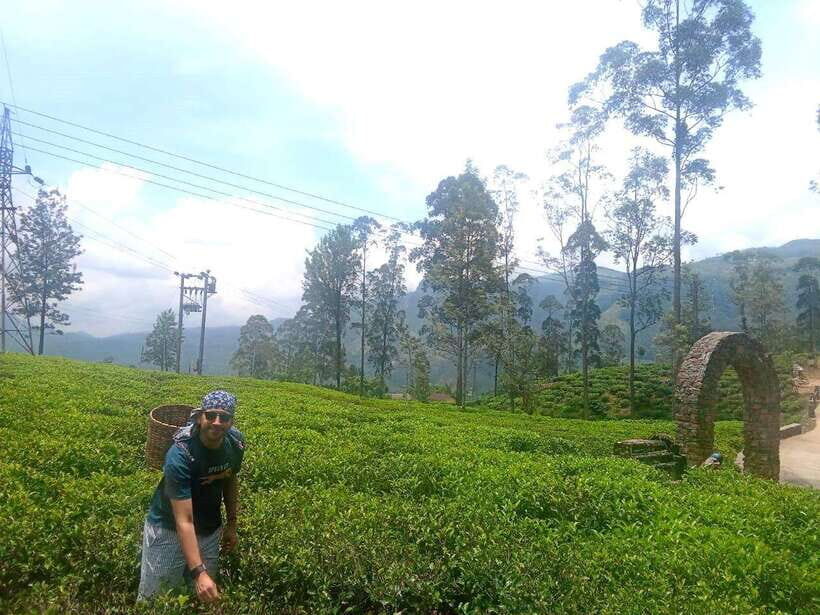Nuwara Eliya Full day: 5Waterfalls, 2Tea Test & pick by TUK - Should you book this tour?