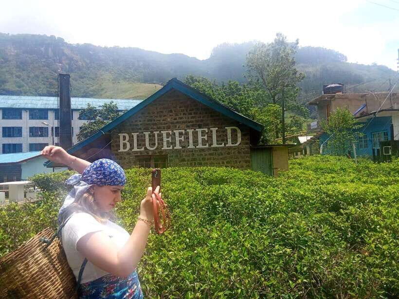 Nuwara Eliya Full day: 5Waterfalls, 2Tea Test & pick by TUK - Who should book this Nuwara Eliya full-day tuk tuk tour?