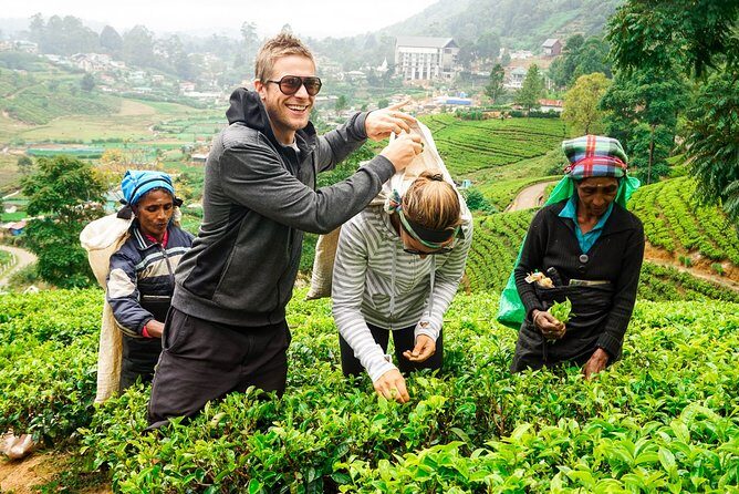 Nuwara Eliya Highlands from Kandy - Key things to know before you go
