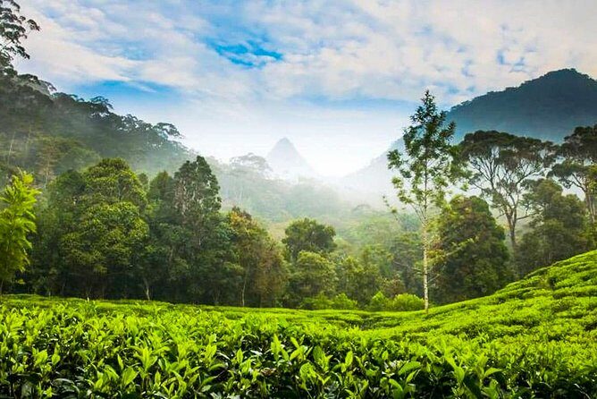 Nuwara Eliya Highlands from Kandy - Ramboda Waterfall (109m): the quickest way to feel the mountains