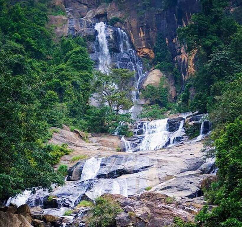 Nuwara Eliya: Tea Factory and Pickle Waterfalls Tuk Tuk Tour - Key highlights (quick scan)