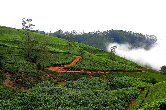Nuwara Eliya Tea factory and waterfall tour - What to bring so you enjoy every stop
