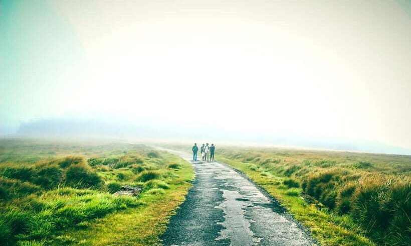 Nuwara Eliya to Horton Plains, Strawberry& Ambewela Farm TUK - Key things you’ll remember