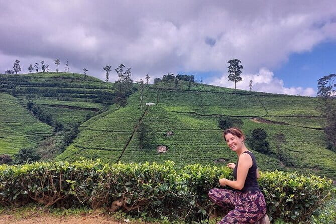 Nuwara Eliya Tours - Pickup, timing, and how to get the most from a hill-country morning