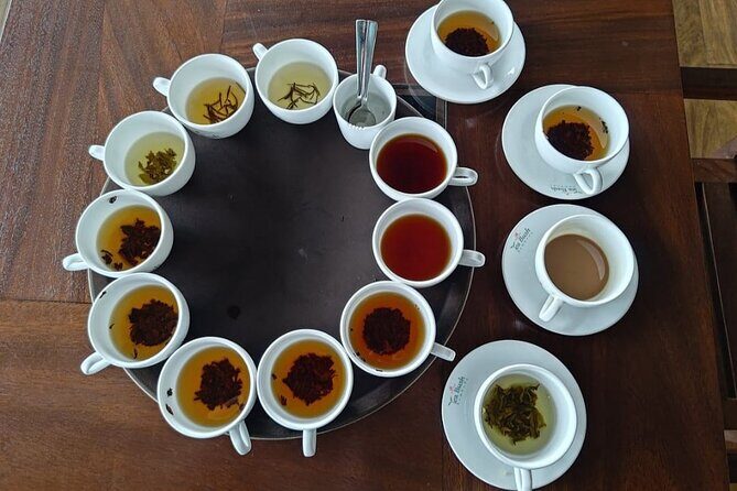 Nuwaraeliya Tea Factory and WaterFall Tour’s With DMJ Tours - Best Fit for Your Day in Nuwara Eliya