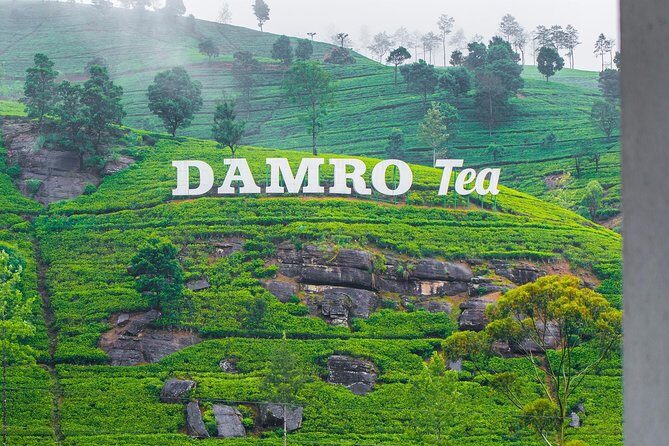 NuwaraEliya Tea Factory,Plantation & Water Falls Hike Tour by Car - Key highlights worth your time