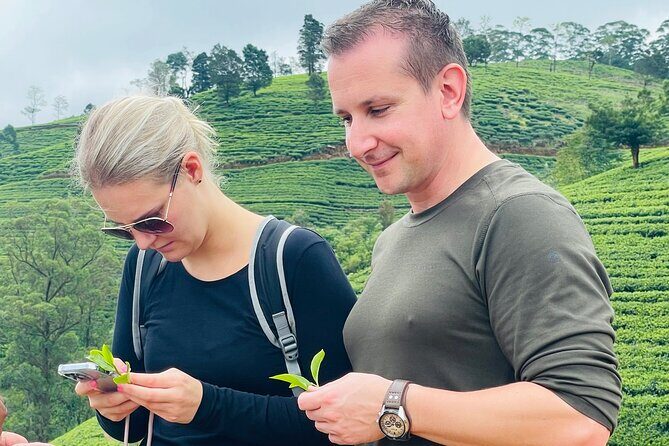 NuwaraEliya Tea Factory,Plantation & Water Falls Hike Tour by Car - Ramboda Falls Hike by Road: Views That Need Real Shoes