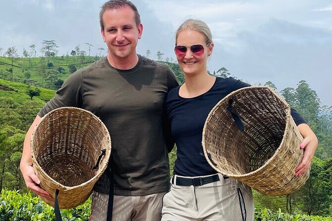 NuwaraEliya Tea Factory,Plantation & Water Falls Hike Tour by Car - Food, Tickets, and What to Pack So the Day Feels Easy