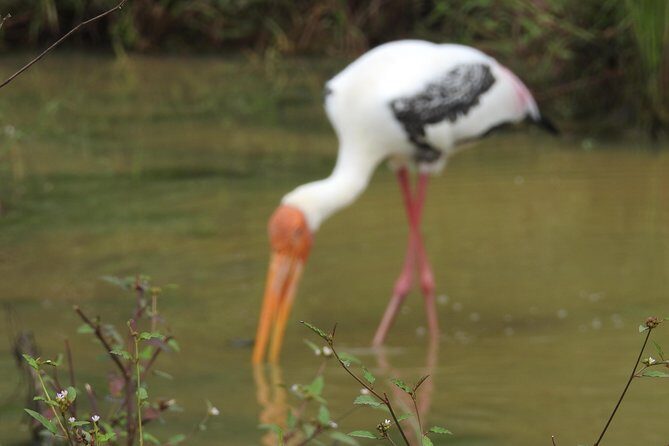 One Day Udawalawe Safari from Galle/Mirissa/Unawatuna/Hikkaduwa - Price and value: is $184.94 per person fair for this full day?