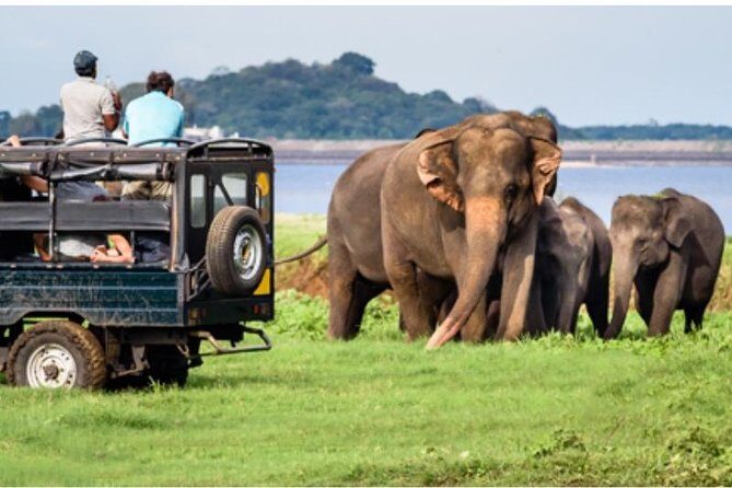 One day Yala National Park from Galle/Hikkaduwa/Mirissa/Unawatuna - Morning pickup timing and the 3:00 AM–10:00 AM entry rhythm