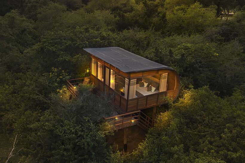 Overnight Treehouse Safari at Yala National Park - Key highlights at a glance