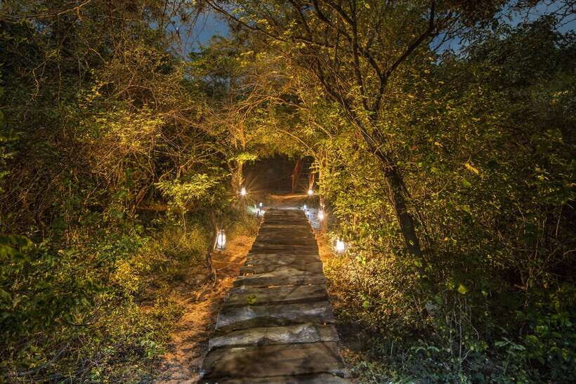 Overnight Treehouse Safari at Yala National Park - Campfire drinks, BBQ dinner, and breakfast by the lake