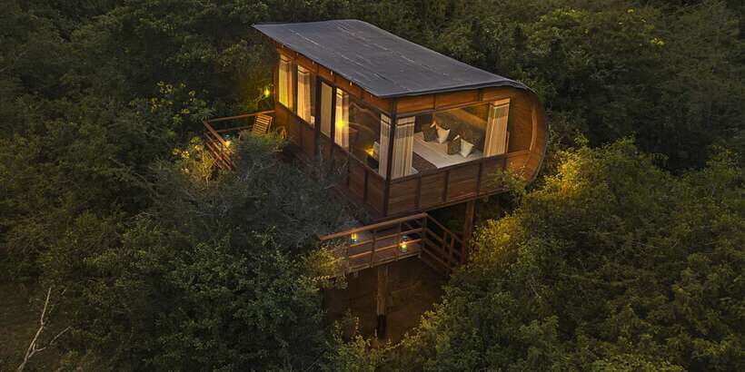 Overnight Treehouse Safari at Yala National Park - Price and logistics: what’s worth your attention before you book
