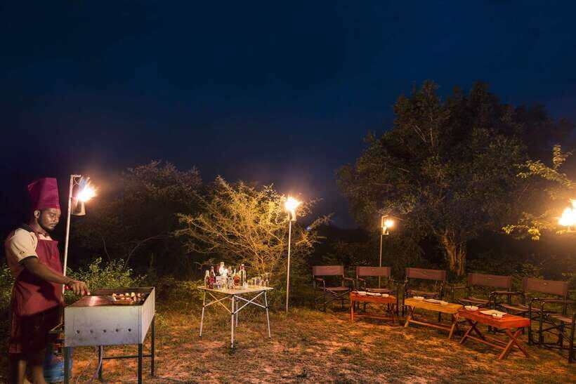 Overnight Treehouse Safari at Yala National Park - Who this is best for (and who should skip it)