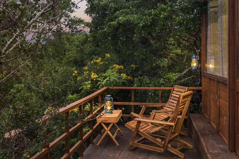 Overnight Treehouse Safari at Yala National Park - Should you book the Overnight Treehouse Safari at Yala?