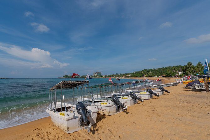 PADI Scuba Diver Course - What PADI Scuba Diver really means: the 12 m cap and your next step
