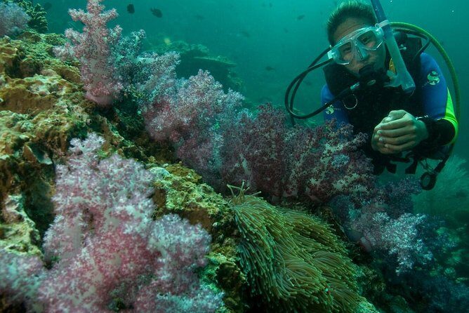 PADI Scuba Diver Course - The 2–3 day flow: theory, confined-water skills, and two open-water sessions