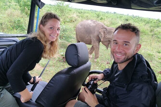 Paradise Udawalawe Safari Tours - Tangalle Pickup to Udawalawe: Timing That Matters