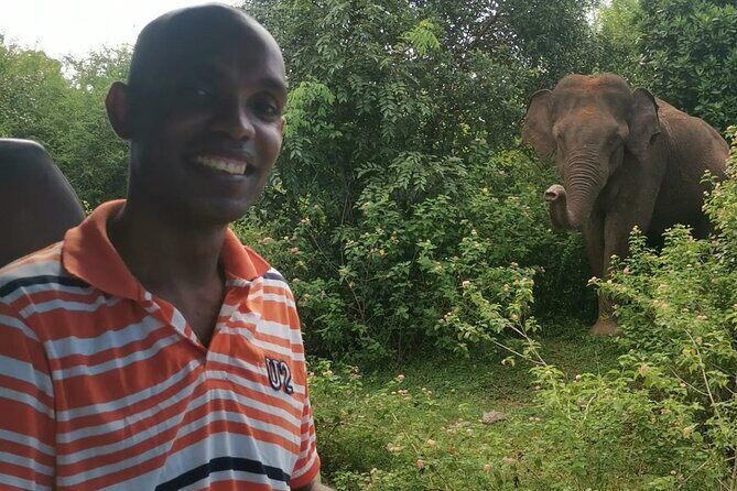 Paradise Udawalawe Safari Tours - Snacks, Tea, and Bottled Water: Small Inclusion, Big Comfort