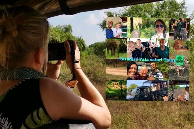 Paradise Yala Safari Tours - Key highlights you’ll feel on the day