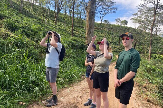 Pekoe Trail Stage 1- Scenic Trek from Hanthana to Galaha - How the 4-hour trek fits your day (and your energy)