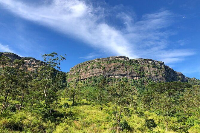 Pekoe Trail Stage 1- Scenic Trek from Hanthana to Galaha - Wildlife spotting: why this guide style matters