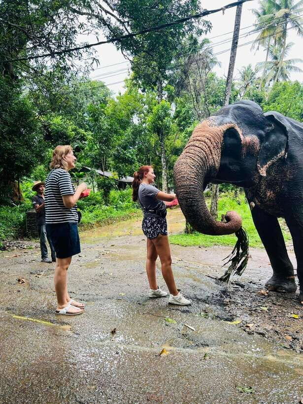 Pinnawala Day Tour from Kandy (Private tour ) - Gem Museum and the Gemological Side of Sri Lanka