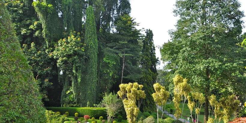 Pinnawala & Kandy Day Tour from Negombo - From Negombo to Kandy: How This 11-Hour Loop Actually Feels