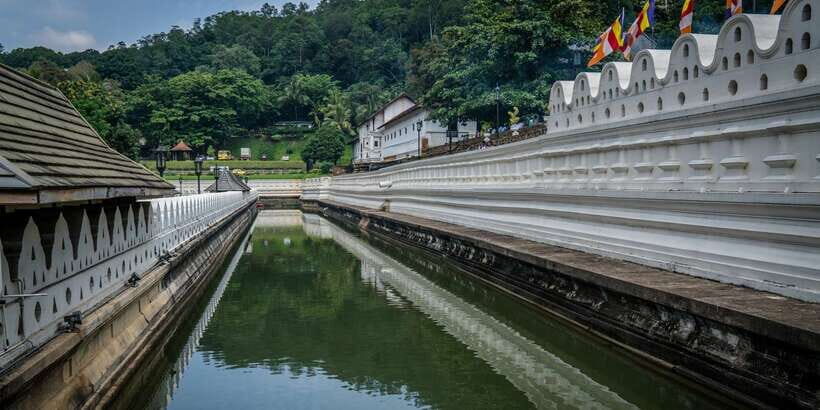 Pinnawala & Kandy Day Tour from Negombo - Temple of the Sacred Tooth Relic: Where Faith and Power Were Historically Linked