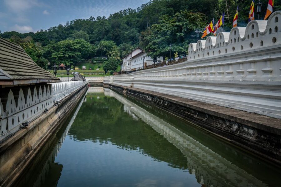 Pinnawala & Kandy Day Tour from Negombo - Lunch and Shopping Breaks: How the Tour Prevents the Day From Falling Apart