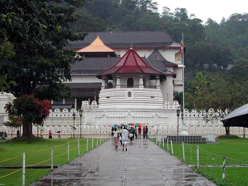 Pinnawala,Kandy Day Tour from Colombo/Negombo - Key highlights worth your attention