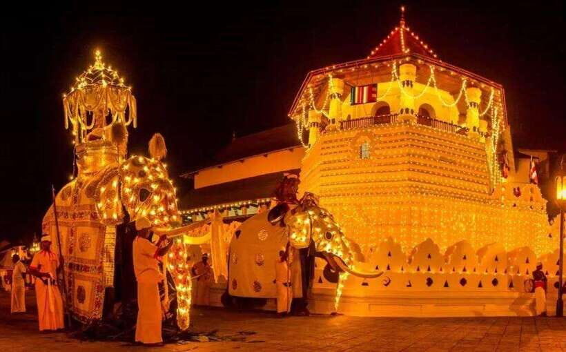 Pinnawala,Kandy Day Tour from Colombo/Negombo - The value in this day trip: $62 for a packed route