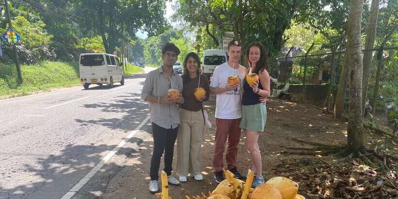 Pinnawala,Kandy Day Tour from Colombo/Negombo - Kandy’s Temple of the Tooth (Sri Dalada Maligawa): sacred, detailed, and worth the time