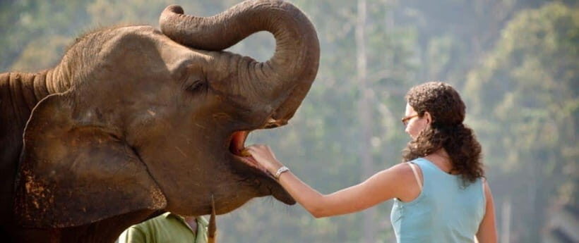 Pinnawala,Kandy Day Tour from Colombo/Negombo - About that whale photo chance: treat it like a bonus