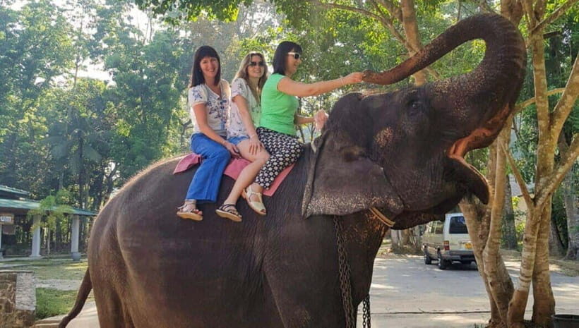 Pinnawala,Kandy Day Tour from Colombo/Negombo - Leaving Colombo/Negombo early (and why it’s worth it)