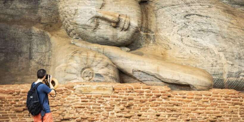 Polonnaruwa Day Tour With Minneriya NP Elephant Safari - Price and value: what the $65 gets you (and what it doesn’t)