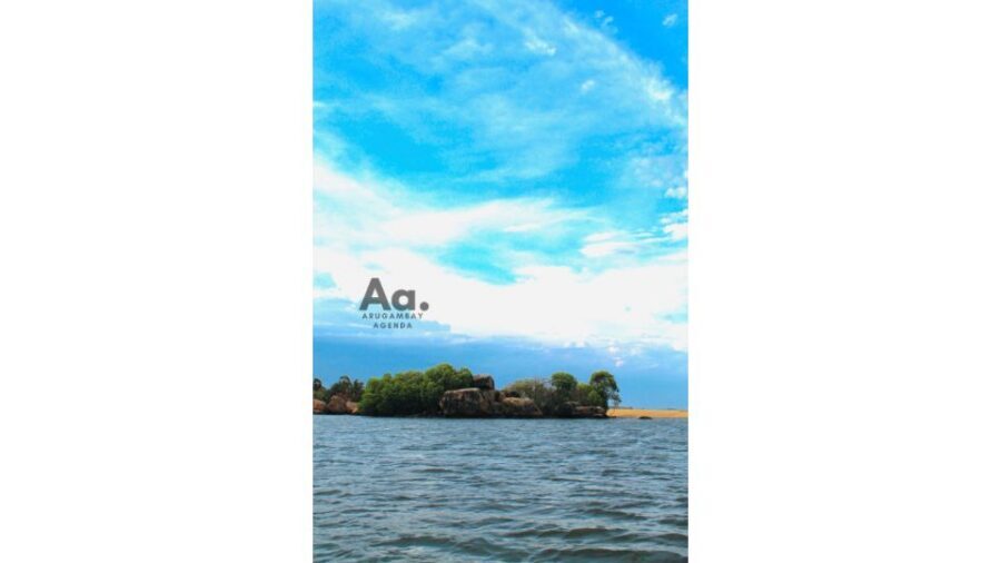 Pottuvil Lagoon Eco Tour : Mangrove Adventure in Arugam Bay - Should You Book the Pottuvil Lagoon Eco Tour?