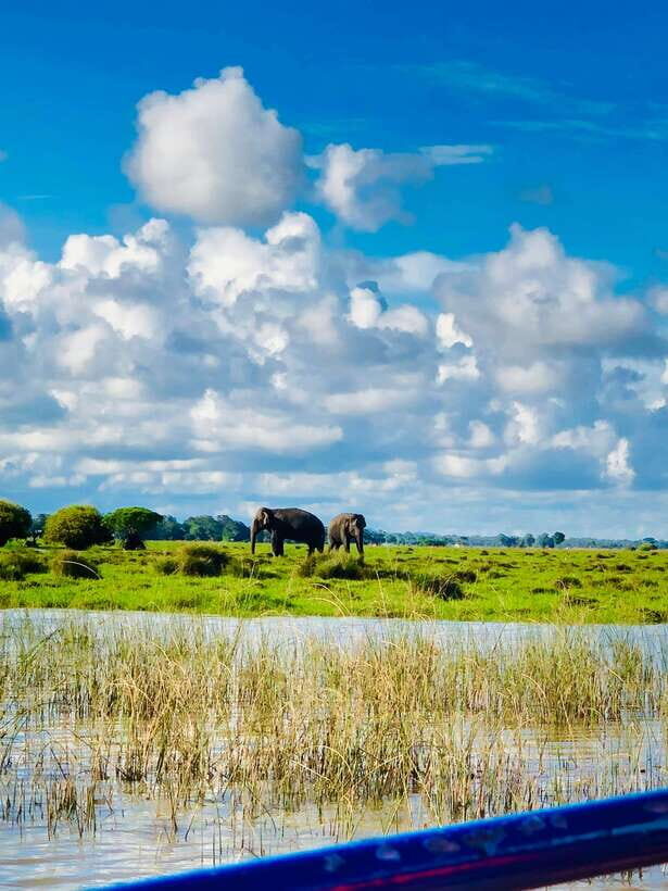 Pottuvil Lagoon Eco Tour : Mangrove Adventure in Arugam Bay - Two Hours on the Lagoon: Wildlife Spots and Mangrove Clues