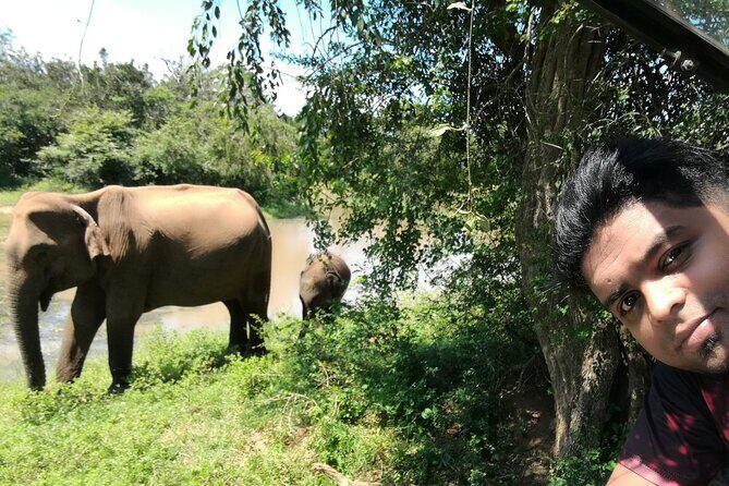 Private Dambulla Sigiriya Tour from Kandy with friendly chauffeur - Price and logistics: what $77.99 turns into per person