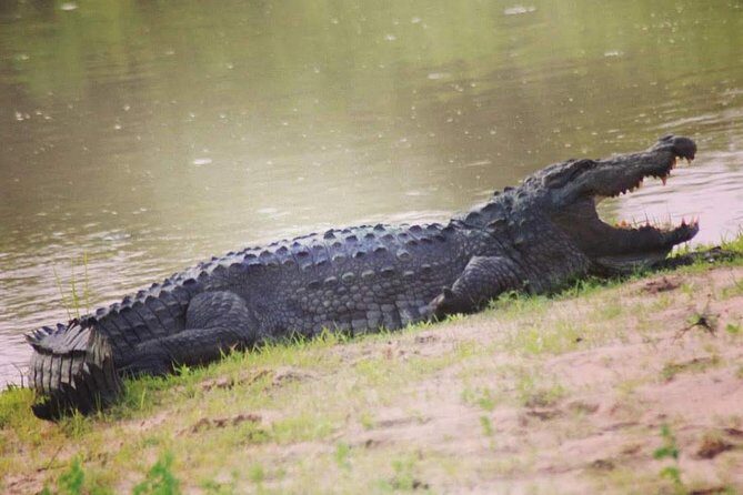 Private Day Tour: Yala National Park Safari Tour from Galle & Weligama - Price and value: what $290 per person is really buying