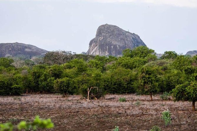 Private Day Tour: Yala National Park Safari Tour from Galle & Weligama - Who should book this Yala safari tour