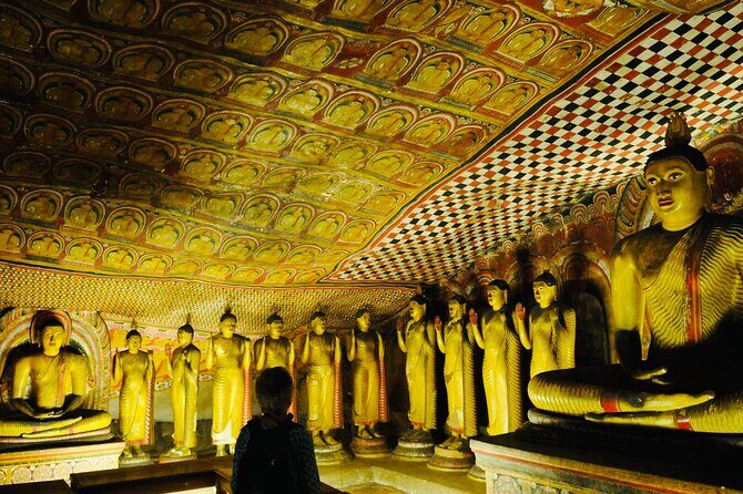 Private Day Trip To Minneriya Sigiriya and Dambulla From Kandy - Minneriya National Park: Nature Time with Extra Entrance Costs