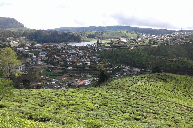 Private Full Day Tour to Nuwara Eliya from Kandy - Gregory Lake and the final Nuwara Eliya viewpoint