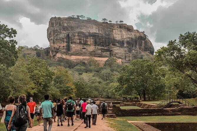Private Full Day Udawalawe Safari Trip with Lunch - Elephant Transit Home (ETH): why this stop adds meaning