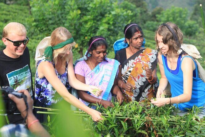 Private Galle Day Tour with Boat Safari & Tea Factory Visit - All Inclusive - Turtle Hatchery Stop: A Quietly Memorable Moment