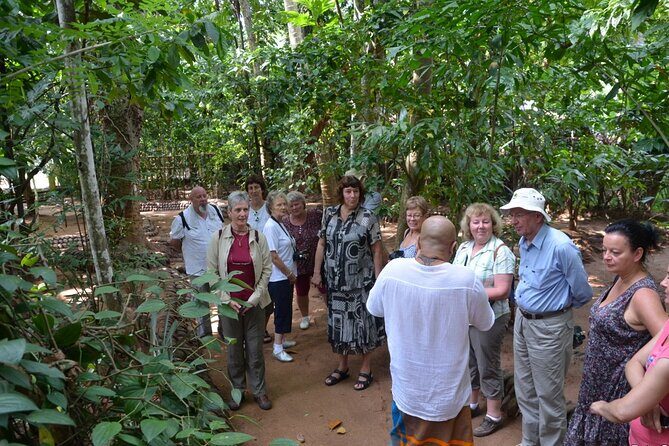 Private Galle Day Tour with Boat Safari & Tea Factory Visit - All Inclusive - Gem Museum, Buddhist Temple, and the Small Stops That Add Meaning