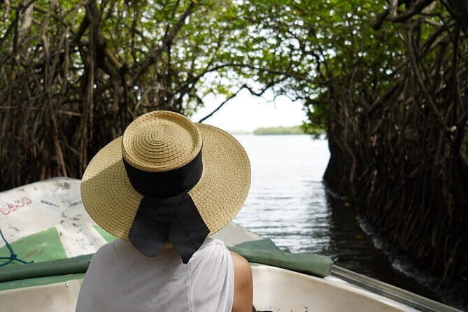 Private Galle Day Tour with River Safari, Stilt fishing & Turtles - A smooth private route from Bentota to Galle