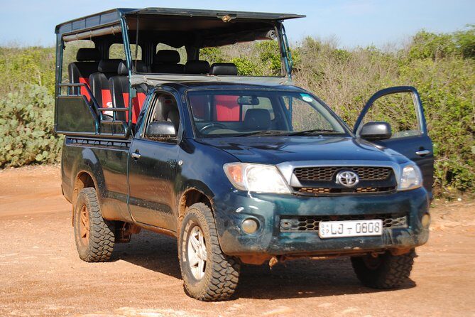 Private Half Day Safari Tour to Yala NP From Tangalle and Drop Back - Key Highlights You’ll Feel Right Away